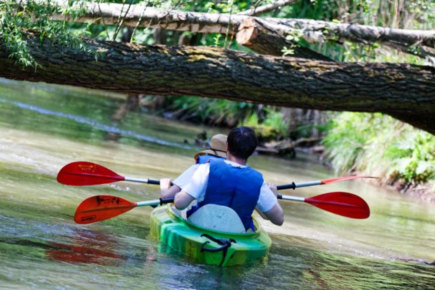 Spływ kajakowy po Białej Przemszy &ndash; fot. UM Sosnowiec