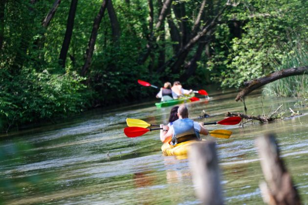 Spływ kajakowy po Białej Przemszy &ndash; fot. UM Sosnowiec