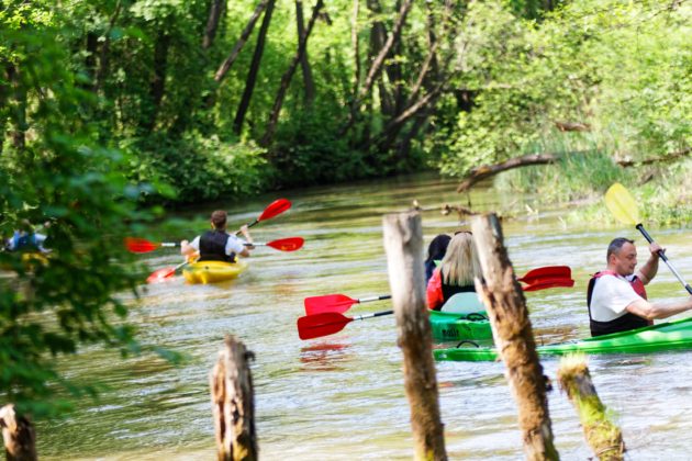 Spływ kajakowy po Białej Przemszy &ndash; fot. UM Sosnowiec
