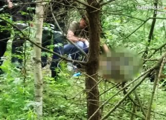 Tragiczny finał poszukiwań dwójki 80-latków w Zawierciu - fot. Policja