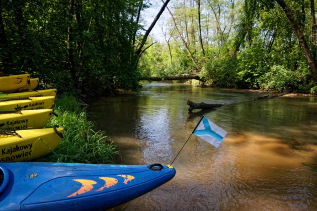 Spływ kajakowy po Białej Przemszy &ndash; fot. UM Sosnowiec