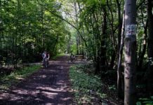 Park Tysiąclecia w Sosnowcu - fot. Wikipedia