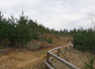 Tereny, na których powstanie arboretum - fot. UM Jaworzno