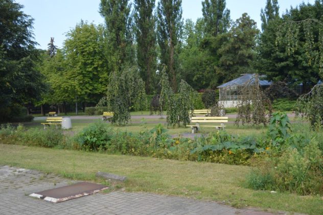 Park Fusińskiego (dawniej Kruczkowskiego) w Sosnowcu – fot. MZ