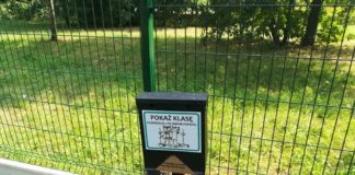 Wybieg dla psów w Parku Prochownia w Czeladzi – fot. UM Czeladź