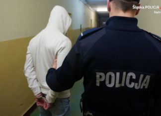 Zatrzymany – fot. Policja