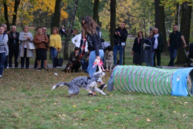 Psiaczkownia Czeladź - fot. UM Czeladź