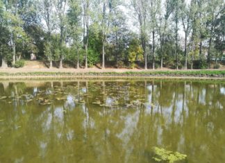 Park Grabek w Czeladzi - fot. UM Czeladź