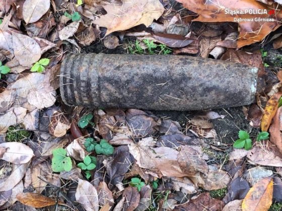 Artyleryjski pocisk w kompleksie leśnym na terenie Ząbkowic &ndash; fot. Policja