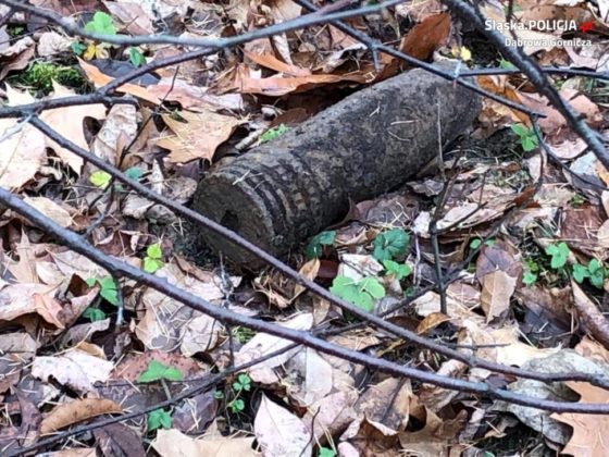 Artyleryjski pocisk w kompleksie leśnym na terenie Ząbkowic &ndash; fot. Policja