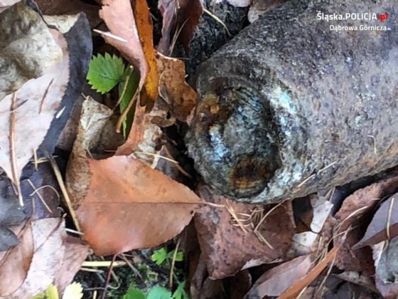 Artyleryjski pocisk w kompleksie leśnym na terenie Ząbkowic &ndash; fot. Policja