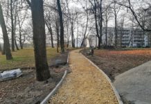 Budżet obywatelski w Czeladzi. Zwycięski projekt już wkrótce doczeka się realizacji Remont alejek w Parku Alfred - fot. UM Czeladź