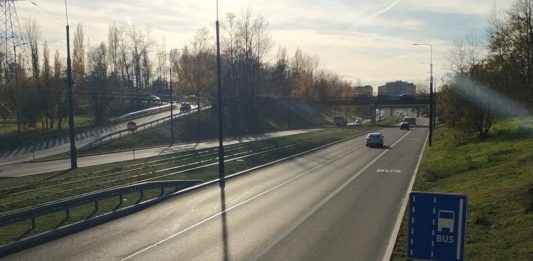 Buspas w Sosnowcu - fot. MC