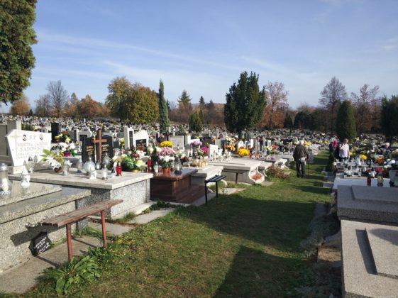 Cmentarze w Zagłębiu - fot. MC