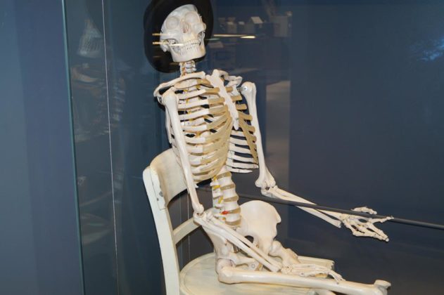 Muzeum Medycyny i Farmacji w Sosnowcu - fot. MC