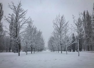 Park Fusińskiego w Sosnowcu - fot. UM Sosnowiec