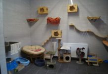 Lepsze warunki dla bezpańskich zwierząt. Schronisko przeszło metamorfozę