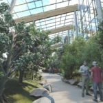 Nowe Egzotarium w Sosnowcu – fot. mat. pras.