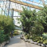 Nowe Egzotarium w Sosnowcu – fot. mat. pras.