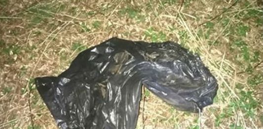 Zakopali psa żywcem - fot. Straż Miejska w Jaworznie