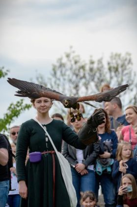 XVI Turniej Rycerski - fot. UM Będzin