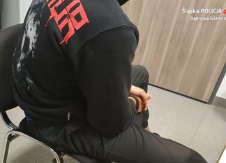Zatrzymani za serię włamań - fot. KMP w Dąbrowie Górniczej