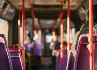 Autobus - fot. Pixabay
