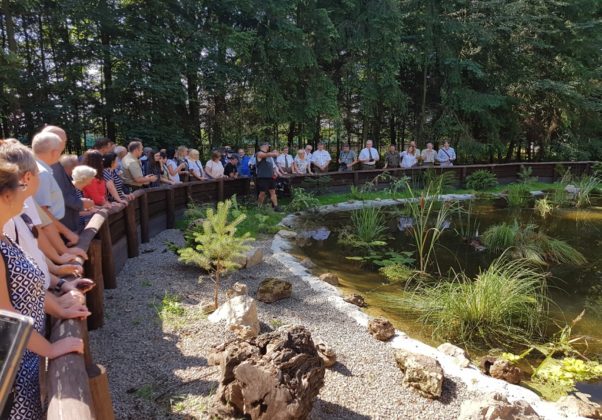 Ż&oacute;łwie błotne w Siewierzu - fot. Urząd Miasta i Gminy Siewierz