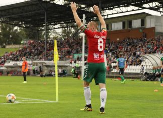 Zagłębie Sosnowiec – fot. Marek Rybicki