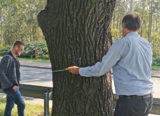 Urzędnicy kupili specjalny tomograf – fot. UM Dąbrowa Górnicza