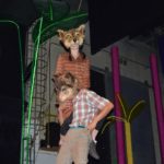 Próba medialna przed premierą „Nowej księgi dżungli” w Teatrze Zagłębia – fot. MZ