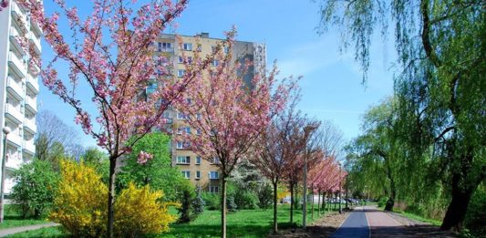 Bulwar Czarnej Przemszy - fot. BCP