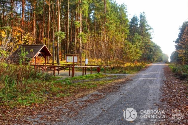 &bdquo;Bagna w Antoniowie&rdquo; w Dąbrowie G&oacute;rniczej &ndash; fot. Dariusz Nowak/UM Dąbrowa G&oacute;rnicza