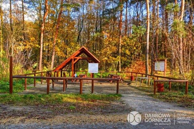 &bdquo;Bagna w Antoniowie&rdquo; w Dąbrowie G&oacute;rniczej &ndash; fot. Dariusz Nowak/UM Dąbrowa G&oacute;rnicza