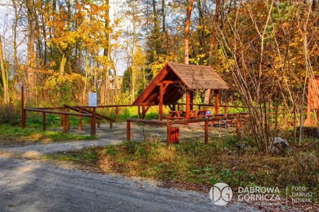 &bdquo;Bagna w Antoniowie&rdquo; w Dąbrowie G&oacute;rniczej &ndash; fot. Dariusz Nowak/UM Dąbrowa G&oacute;rnicza