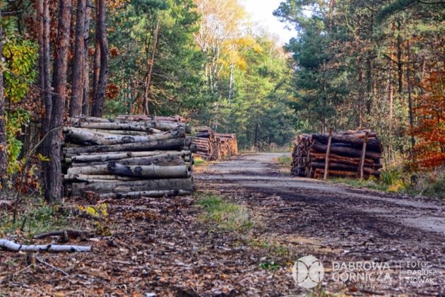 &bdquo;Bagna w Antoniowie&rdquo; w Dąbrowie G&oacute;rniczej &ndash; fot. Dariusz Nowak/UM Dąbrowa G&oacute;rnicza