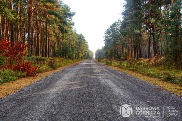 &bdquo;Bagna w Antoniowie&rdquo; w Dąbrowie G&oacute;rniczej &ndash; fot. Dariusz Nowak/UM Dąbrowa G&oacute;rnicza