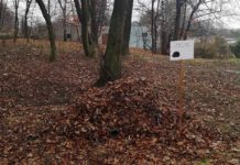 W parkach w Sosnowcu pojawiły się domki dla jeży – fot. Facebook/Arkadiuszach Chęciński