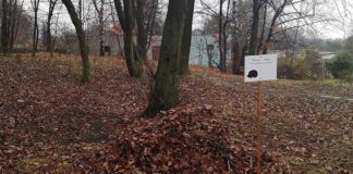 W parkach w Sosnowcu pojawiły się domki dla jeży – fot. Facebook/Arkadiuszach Chęciński