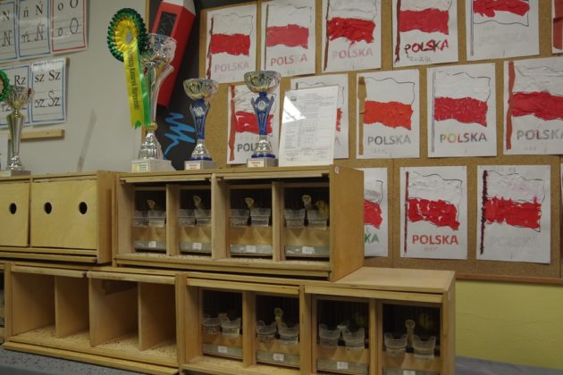 Wystawa kanark&oacute;w w Sosnowcu &ndash; fot. Przemysław Bartos