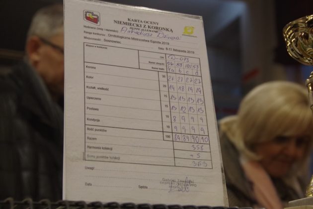 Wystawa kanark&oacute;w w Sosnowcu &ndash; fot. Przemysław Bartos