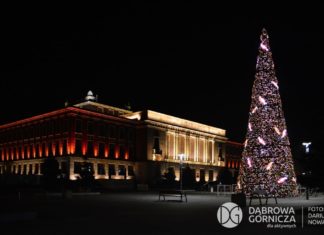 Ozdoby świąteczne w Dąbrowie Górniczej – fot. Dariusz Nowak/UM Dąbrowa Górnicza