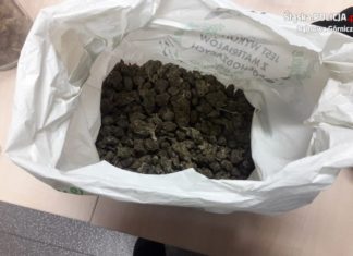 Narkotyki w Dąbrowie Górniczej – fot. Policja Dąbrowa Górnicza