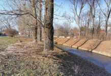 Wały nad Brynicą w Czeladzi – fot. Facebook/Zbigniew Szaleniec