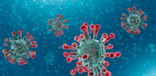 Koronawirus – fot. WHO