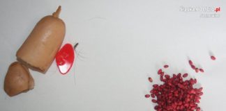 Chciał otruć psa sąsiadów - fot. KMP w Sosnowcu