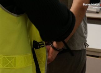 Pedofil usłyszał zarzuty - fot. KMP w Sosnowcu