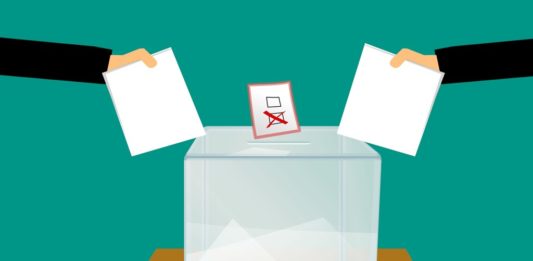 Wybory - fot. Pixabay