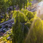 Smutni Bracia z Sosnowca - fot. mat. pras.