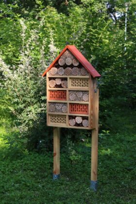 W Dąbrowie G&oacute;rniczej powstały nowe łąki kwietne i domki dla owad&oacute;w &ndash; fot. UM Dąbrowa G&oacute;rnicza